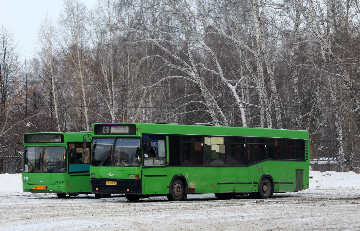 Новосибирская область, МАЗ-104.021 № 4101