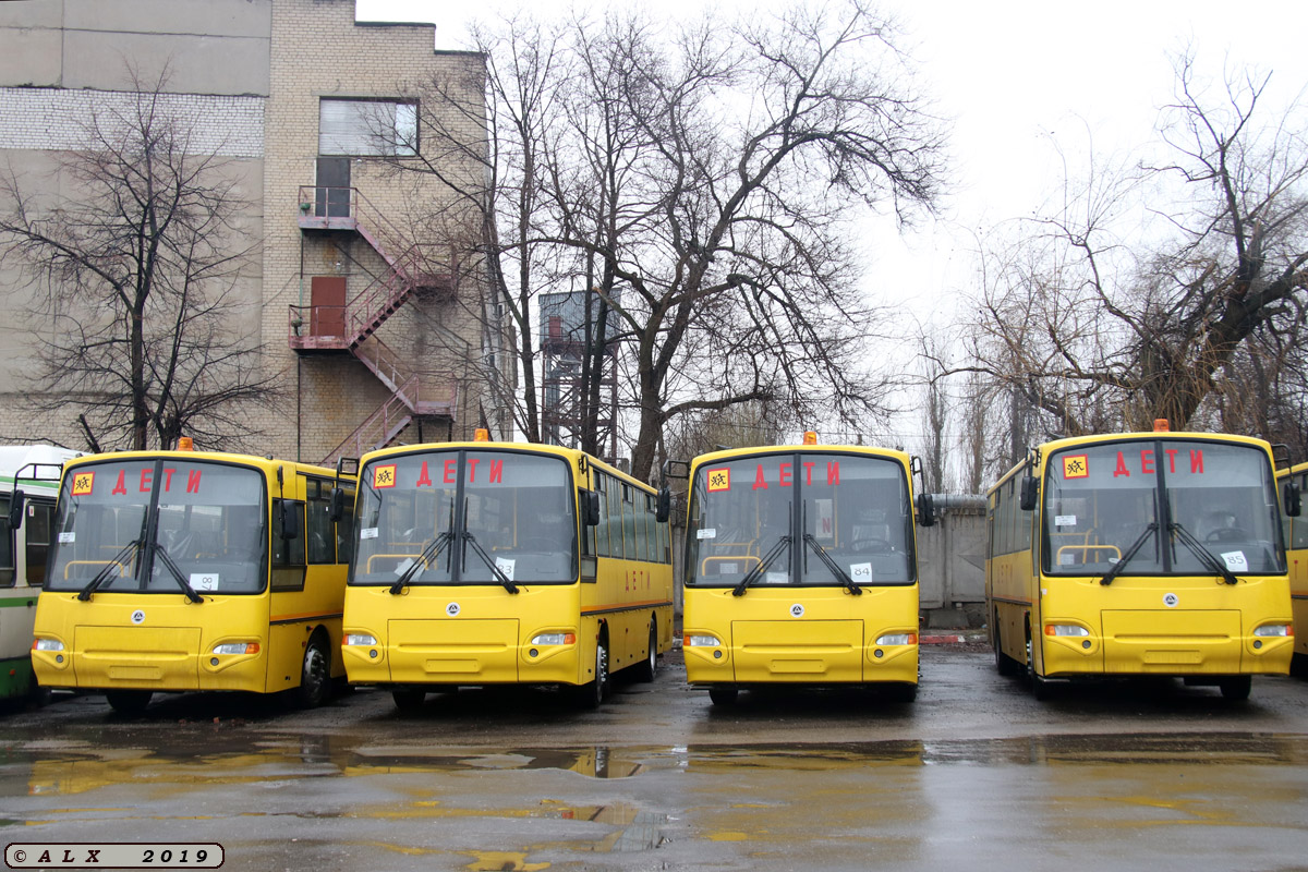 Воронежская область — Новые автобусы