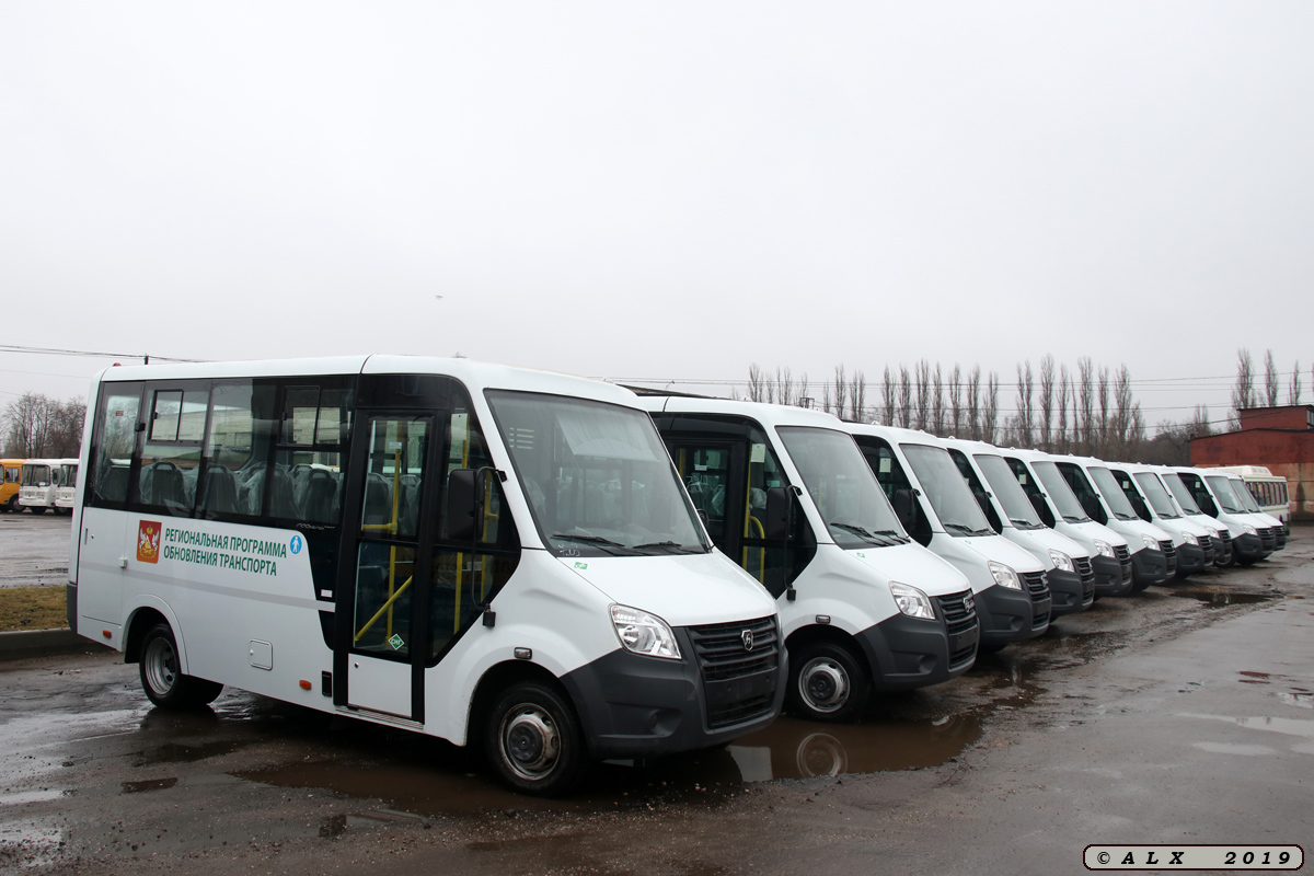 Воронежская область — Новые автобусы