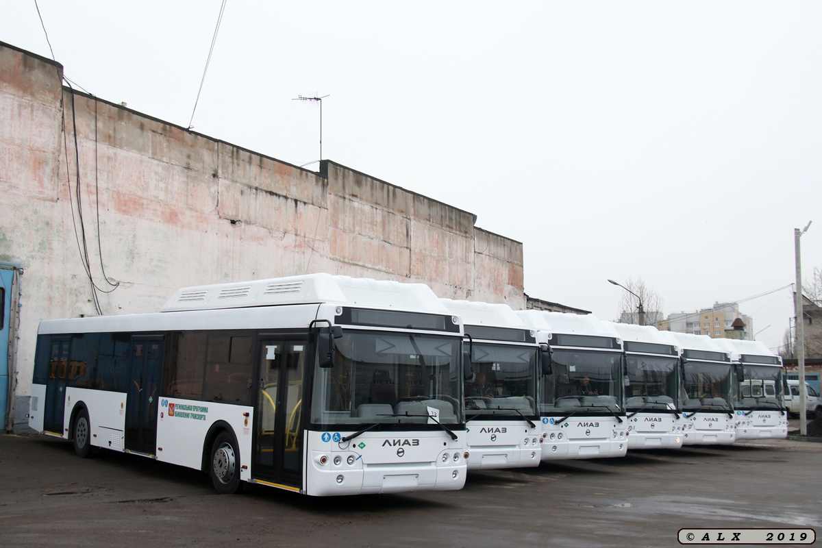 Воронежская область — Новые автобусы