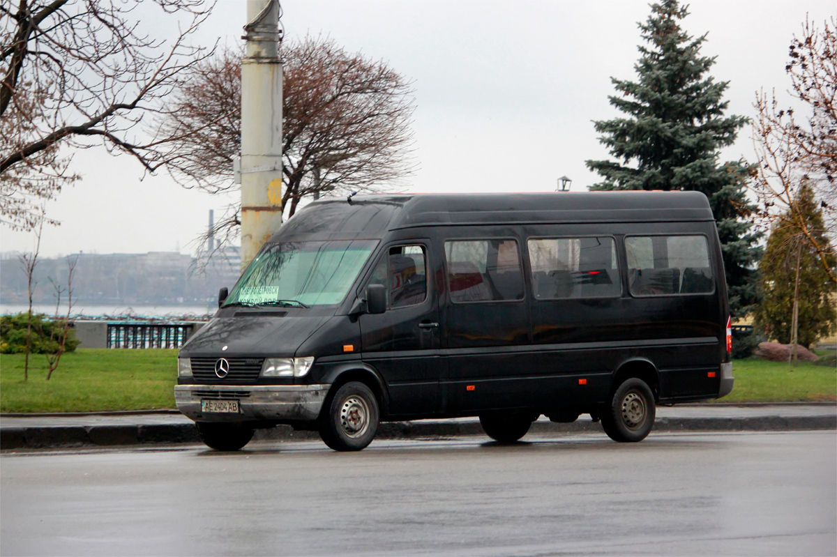 Днепропетровская область, Mercedes-Benz Sprinter W903 312D № AE 2404 AB