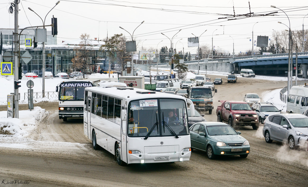 Новосибирская область, КАвЗ-4238-62 № Н 836 ЕХ 154