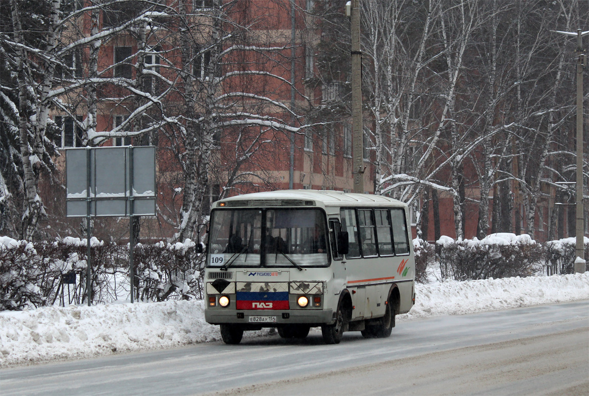 Новосибирская область, ПАЗ-32054 № Е 828 АУ 154