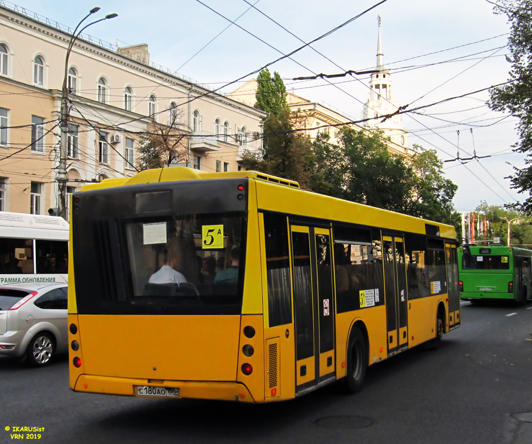 Воронежская область, МАЗ-203.067 № С 180 АО 136