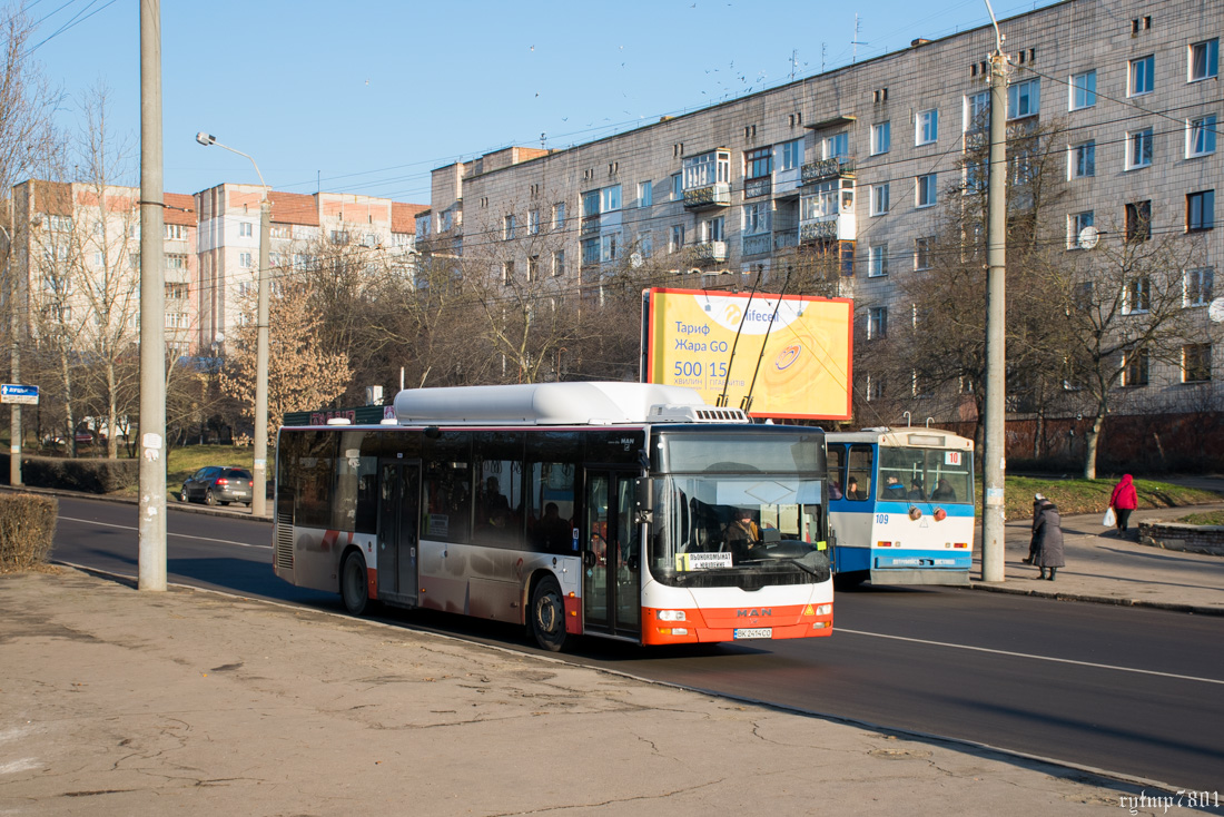 Ровненская область, MAN A21 Lion's City NL243 CNG № BK 2414 CO