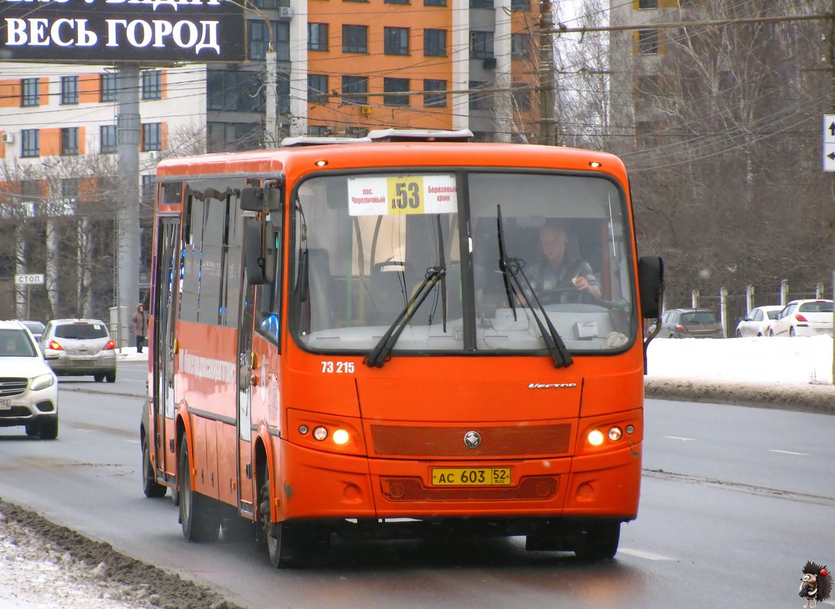 Нижегородская область, ПАЗ-320414-05 "Вектор" (1-2) № 73215