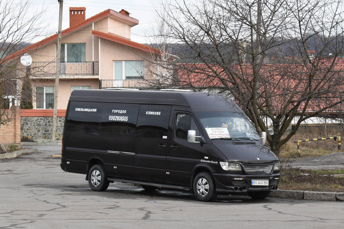 Хмельницкая область, Mercedes-Benz Sprinter W903 310D № BX 8600 BO