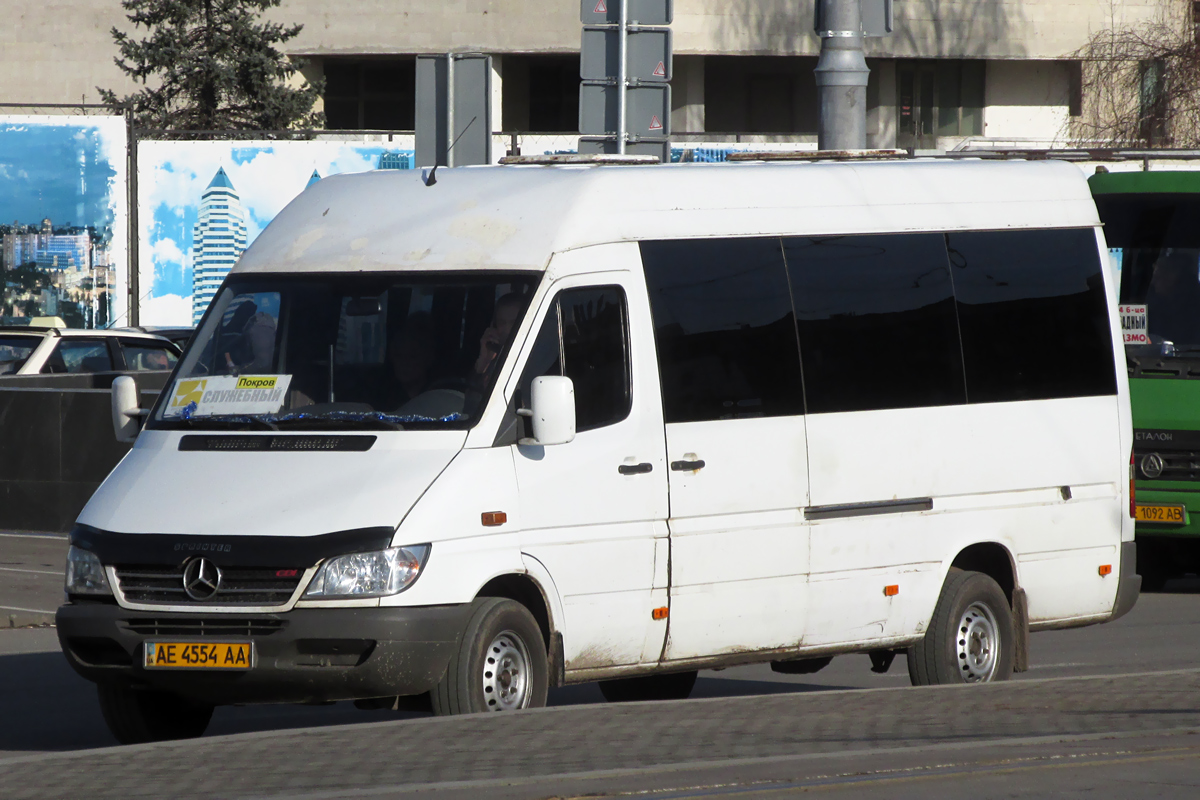 Днепропетровская область, Mercedes-Benz Sprinter W903 313CDI № AE 4554 AA