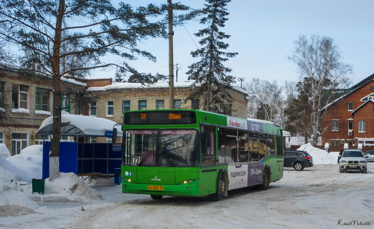 Новосибирская область, МАЗ-103.465 № 4146