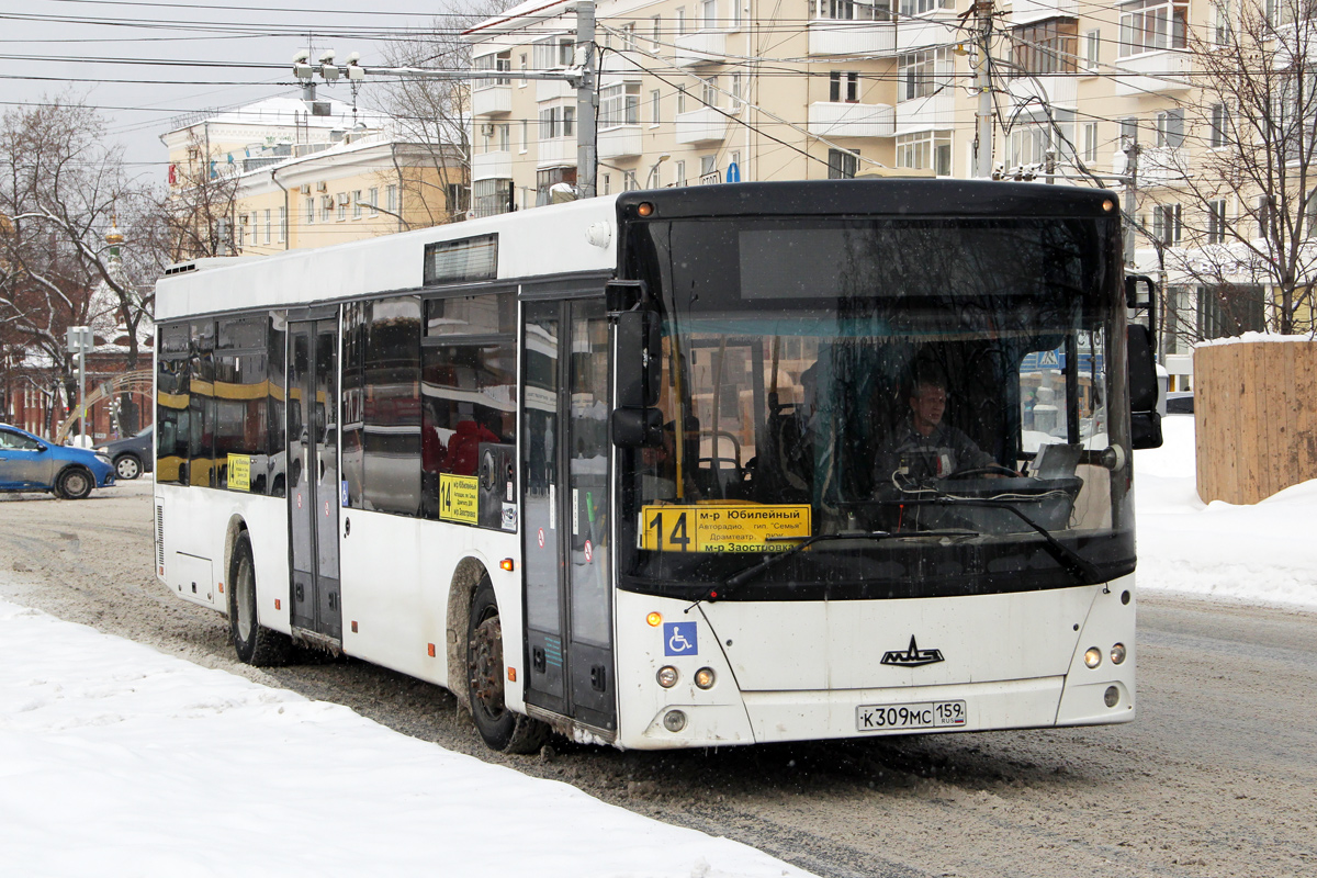 Пермский край, МАЗ-203.167 № К 309 МС 159