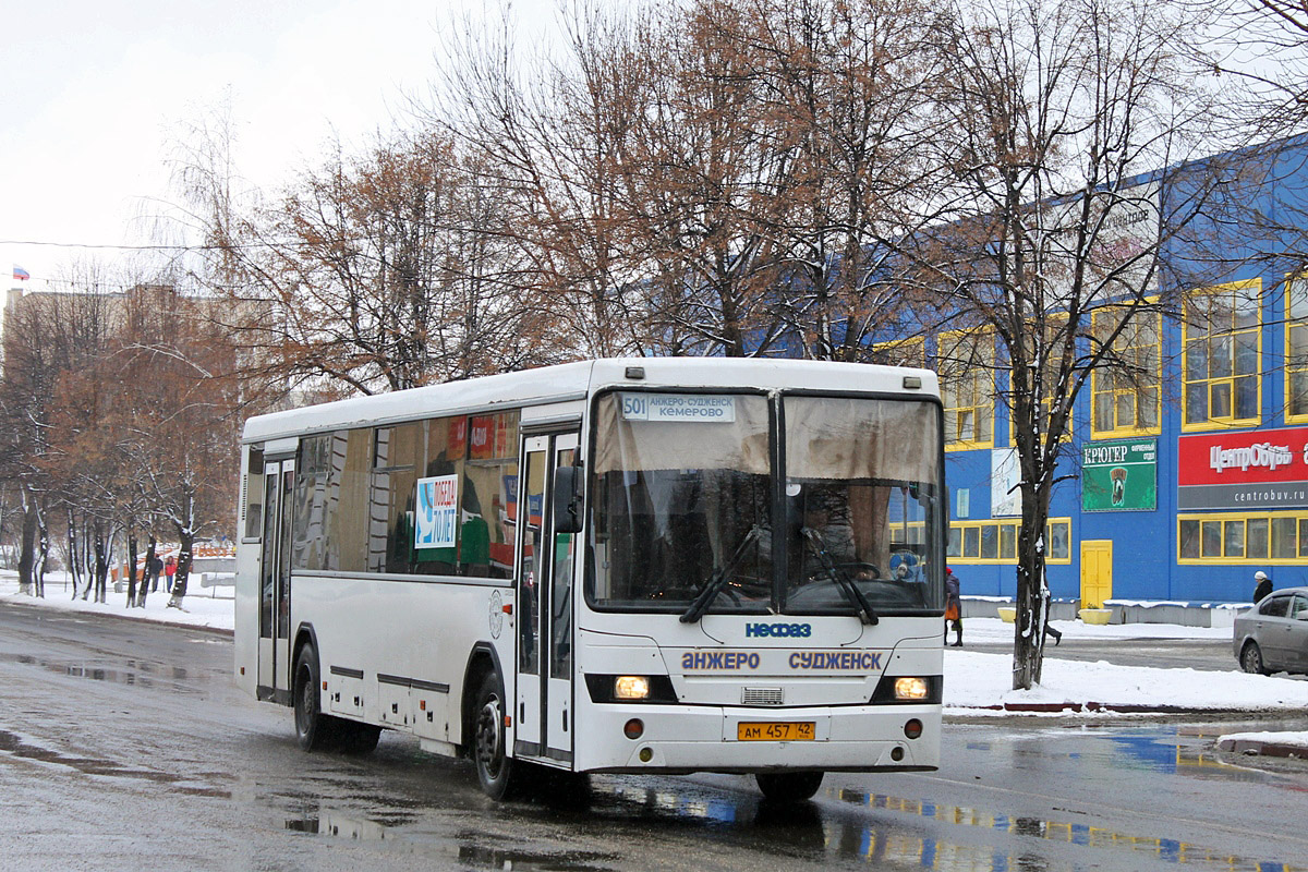 Kemerovo region - Kuzbass, NefAZ-5299-10-16 Nr. 28