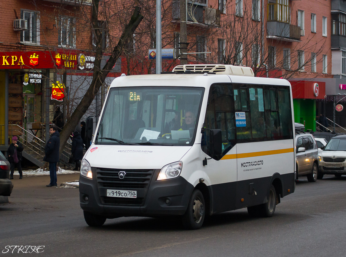 Московская область, Луидор-2250DS (ГАЗ Next) № 9192