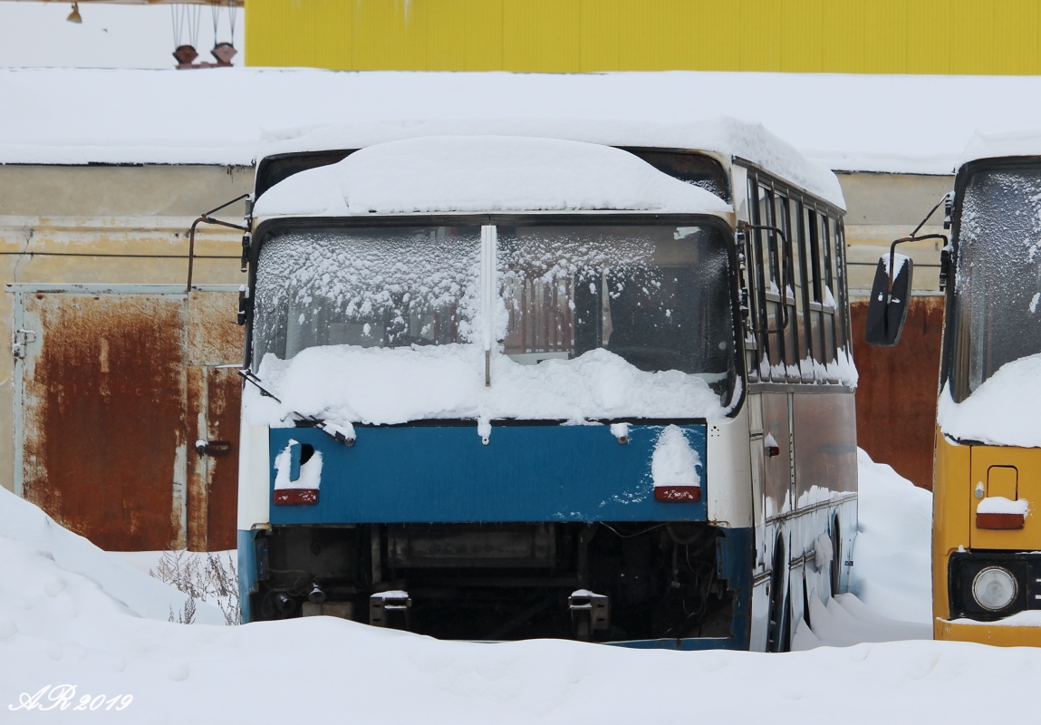 Тамбовская область, Ikarus 263.10 № М 600 РК 68