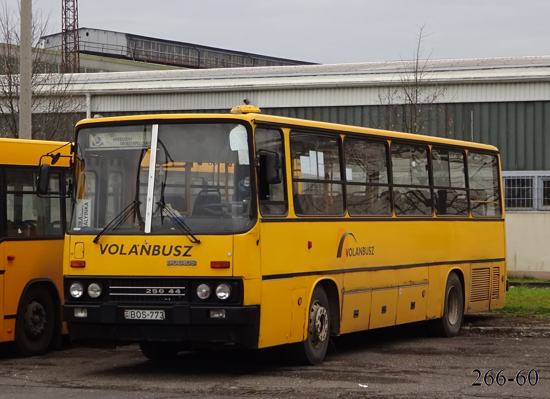 Венгрия, Ikarus 256.44 № BOS-773