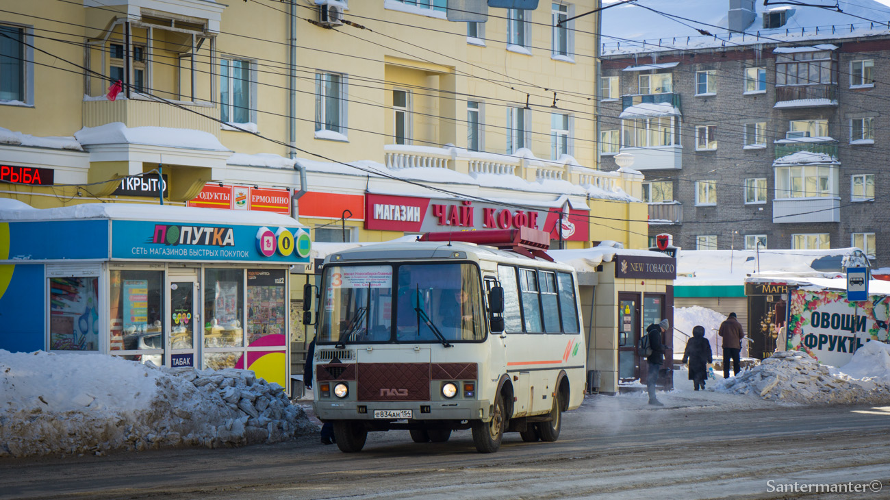 Новосибирская область, ПАЗ-32054 № Е 834 АН 154