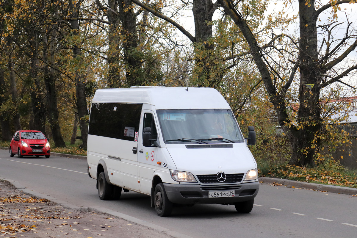 Калининградская область, Mercedes-Benz Sprinter W904 416CDI № К 561 МС 39