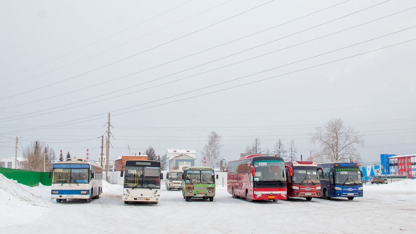 Sverdlovsk region, Daewoo BS106 Royal City (Busan) # Т 677 СК 96; Sverdlovsk region, KAvZ-4239 # С 884 ВС 96; Sverdlovsk region, PAZ-32054 # Е 733 ТХ 196; Sverdlovsk region, Yutong ZK6122H9 # КА 271 66; Sverdlovsk region — Bus stations, finish stations and stops