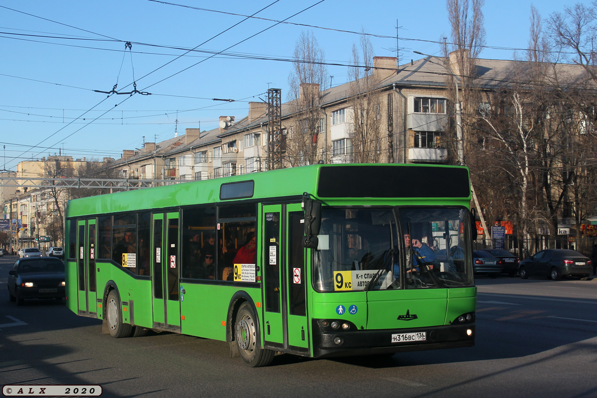 Воронежская область, МАЗ-103.465 № Н 316 ВС 136