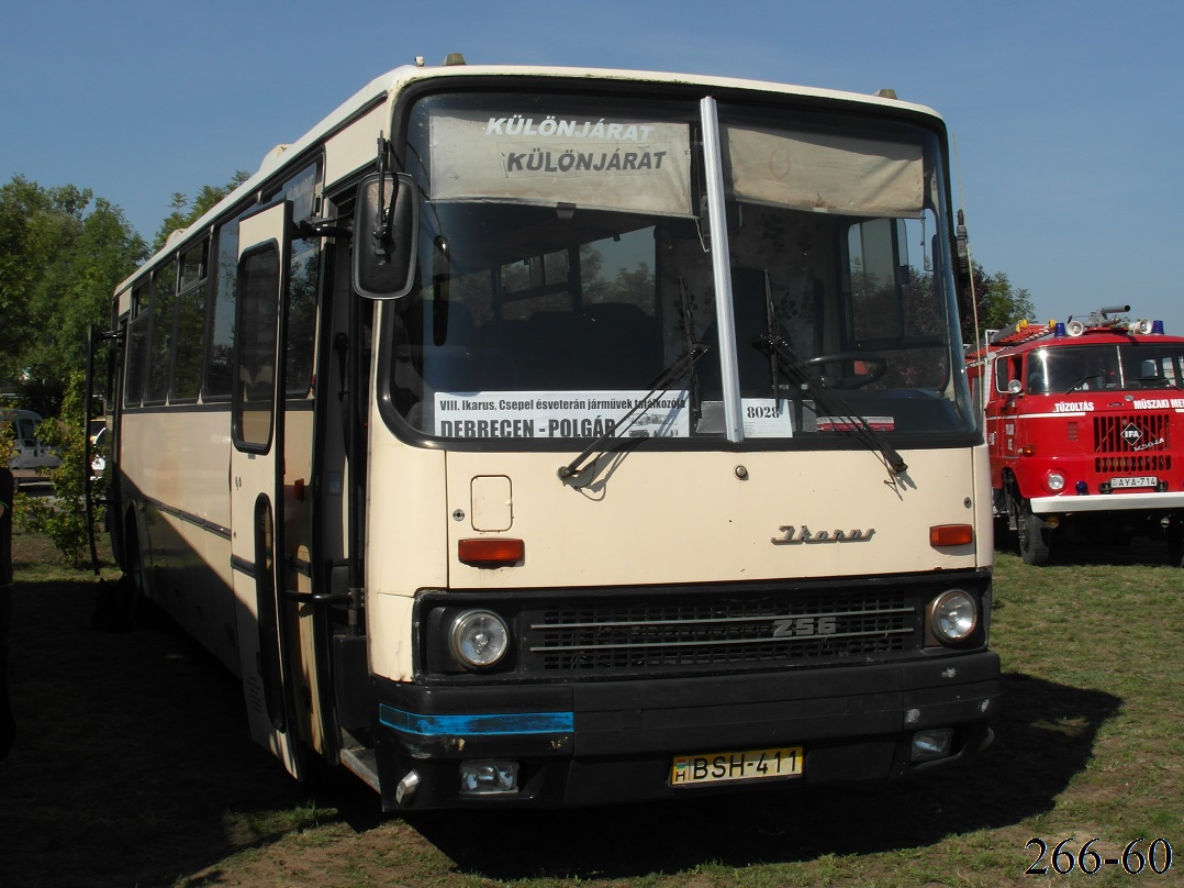 Венгрия, Ikarus 250.59 № BSH-411; Венгрия — VIII. Nemzetközi Ikarus, Csepel és Veteránjármű Találkozó, Polgár (2015)