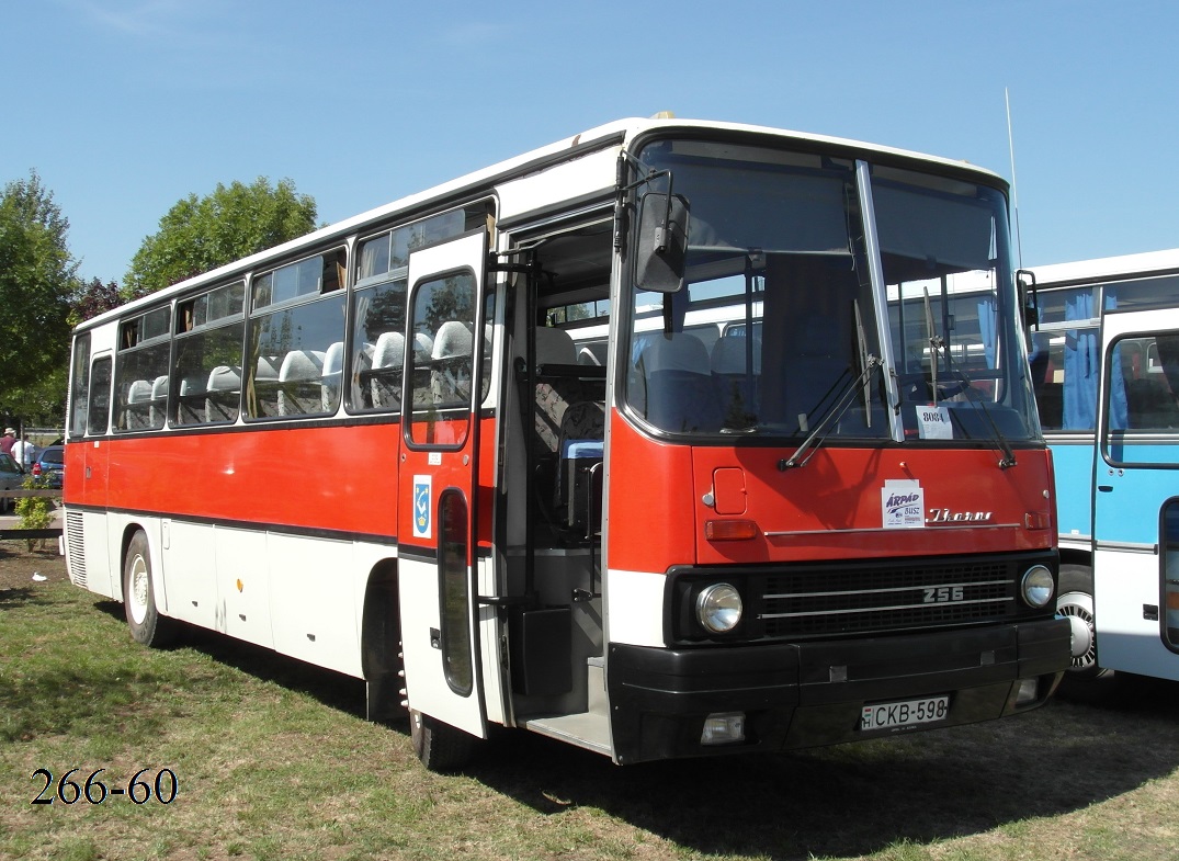 Венгрия, Ikarus 256.50E № CKB-598; Венгрия — VIII. Nemzetközi Ikarus, Csepel és Veteránjármű Találkozó, Polgár (2015)