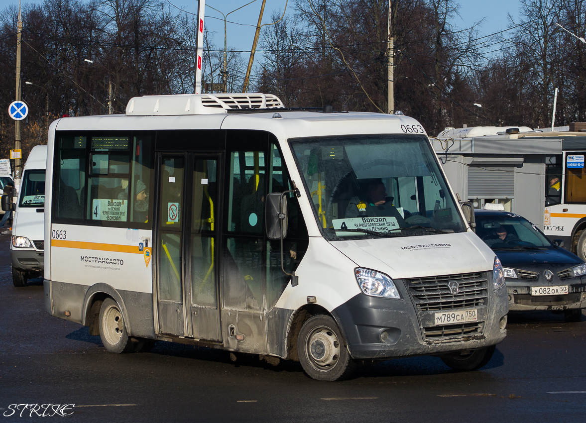 Московская область, Луидор-2250DS (ГАЗ Next) № 0663