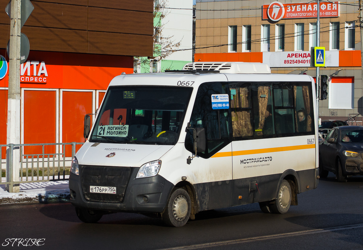 Московская область, Луидор-2250DS (ГАЗ Next) № 0667