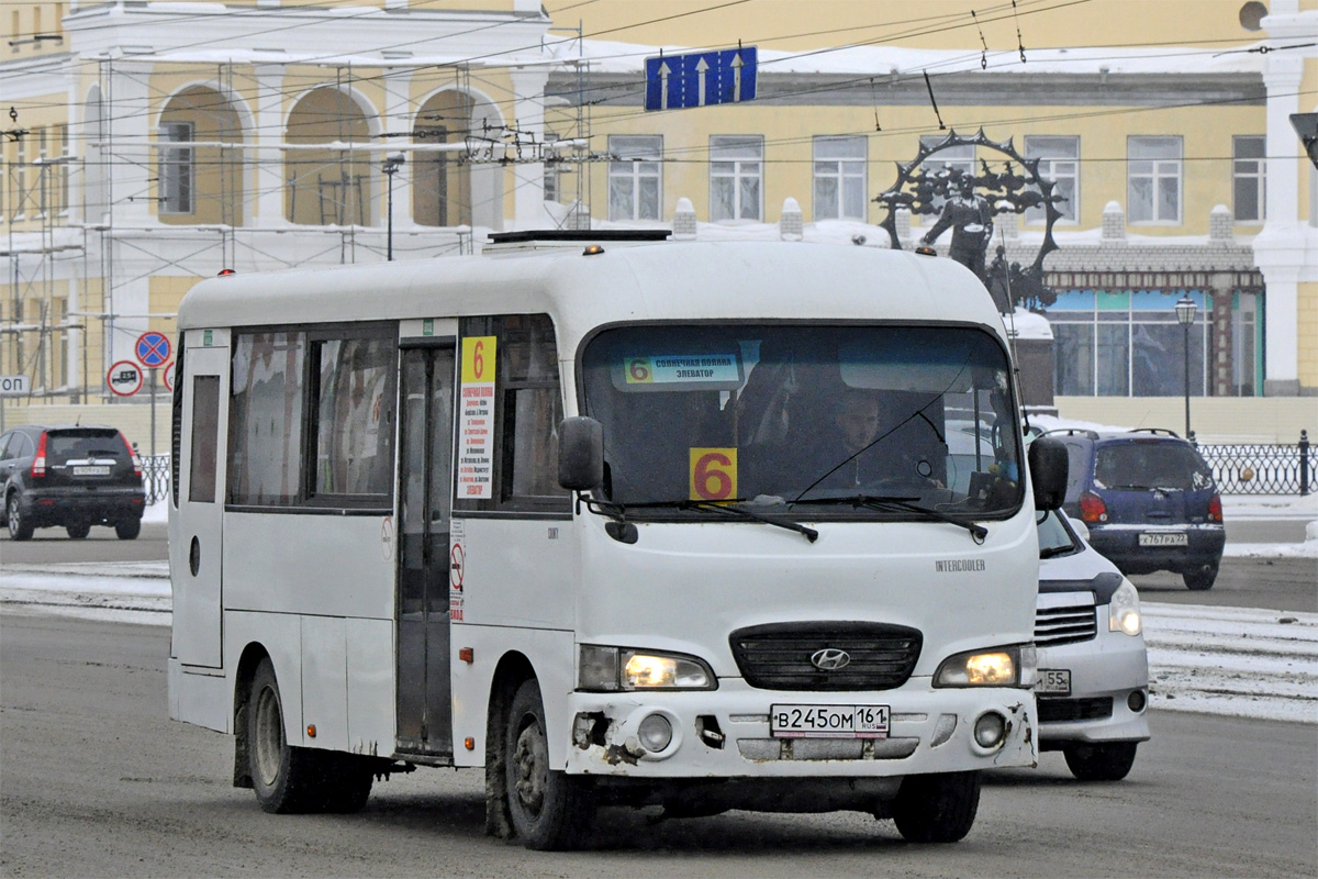 Алтайский край, Hyundai County LWB (ТагАЗ) № В 245 ОМ 161