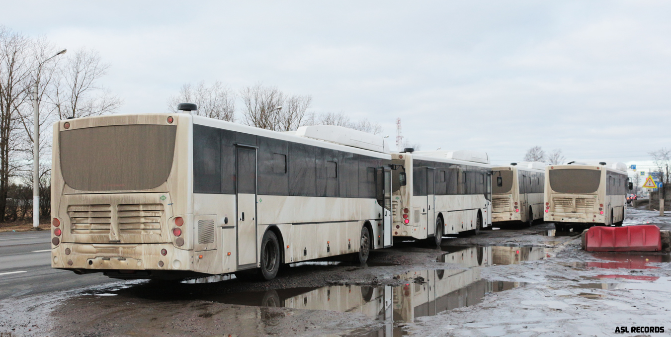 Saint Petersburg — New buses; Volgograd region — New buses of "Volgabus"