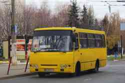 393 КБ