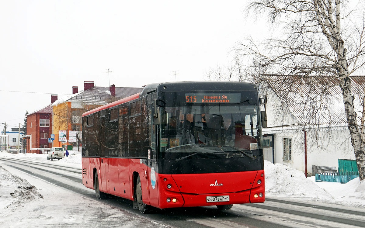 Кемеровская область - Кузбасс, МАЗ-231.062 № 39