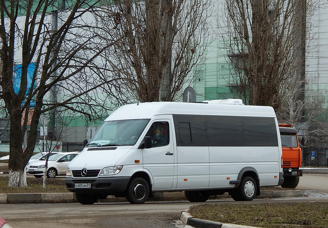 Белгородская область, Луидор-223201 (MB Sprinter Classic) № О 405 ОМ 31