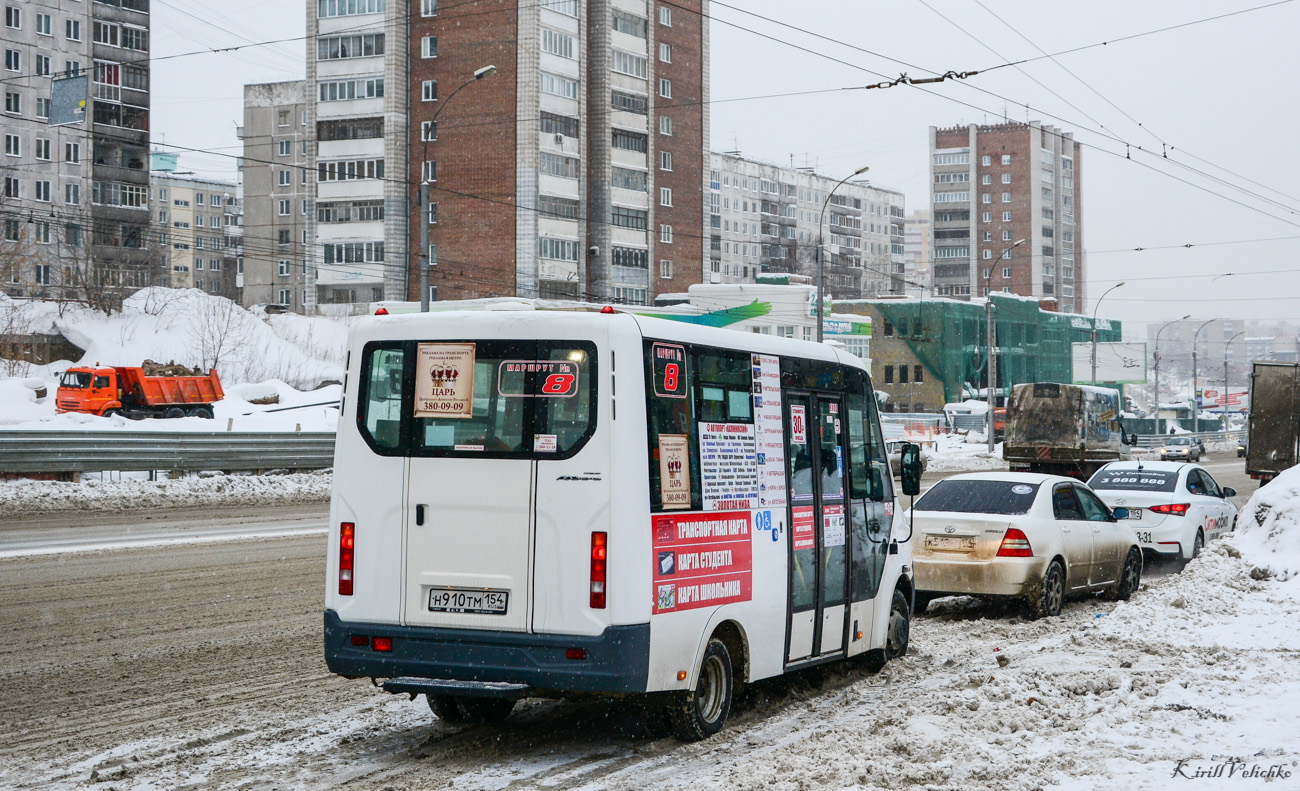 Новосибирская область, Луидор-2250DS (ГАЗ Next) № Н 910 ТМ 154