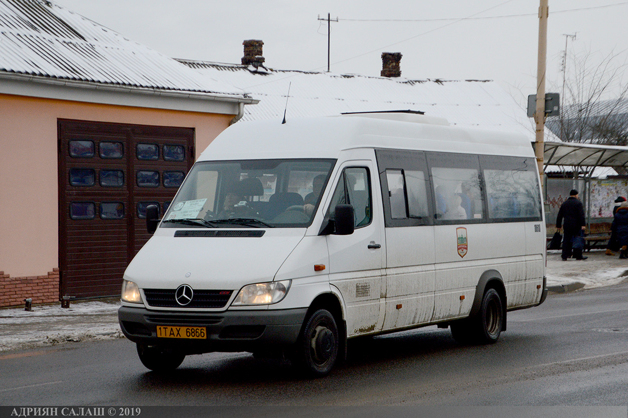 Брестская область, Луидор-223236 (MB Sprinter Classic) № 10610