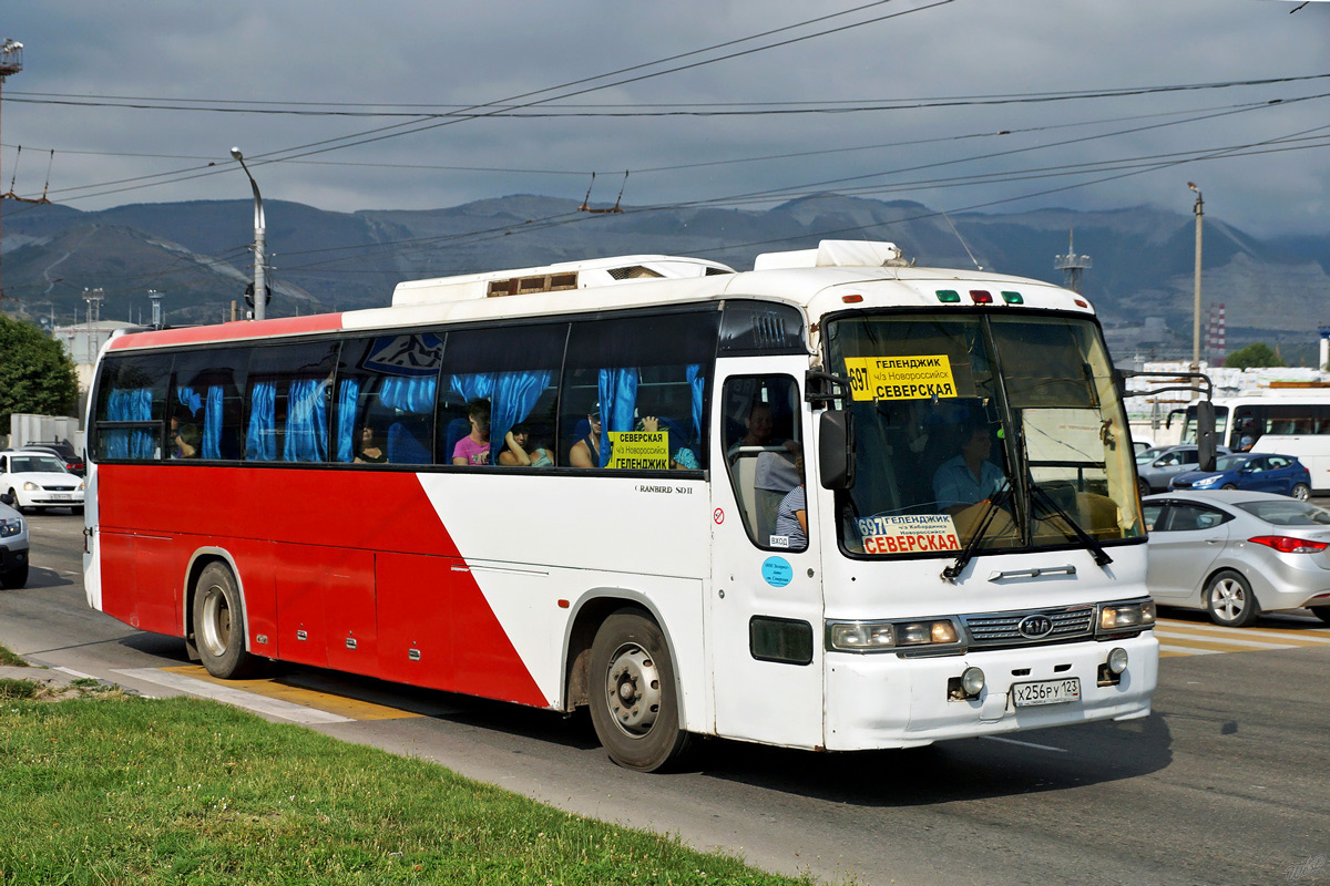 Краснодарский край, Kia AM949S Granbird SD II № Х 256 РУ 123