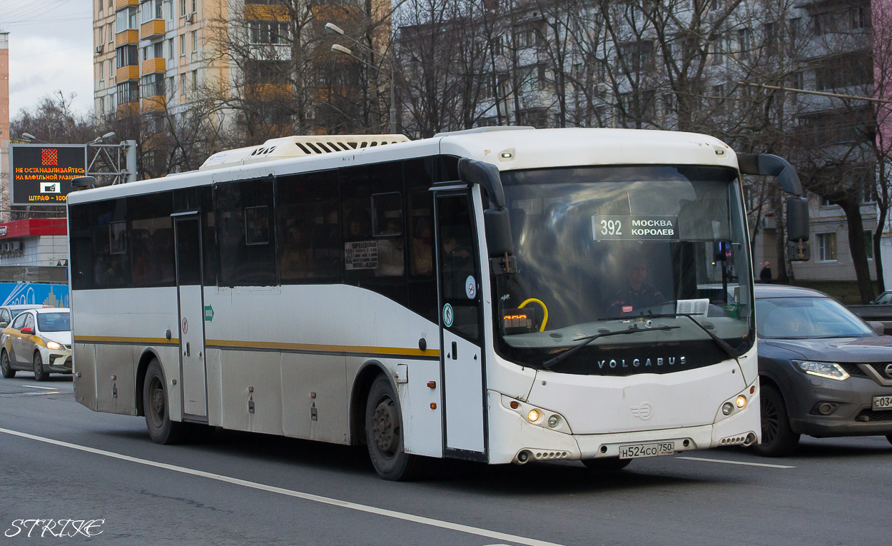 Московская область, Volgabus-5285.02 № Н 524 СО 750 — Фото — Автобусный  транспорт