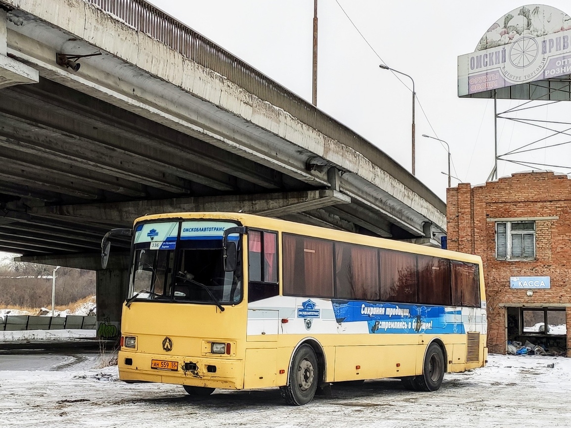 Омская область, ЛАЗ-4207JT "Лайнер-10" № 141