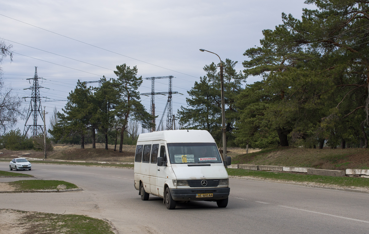 Днепропетровская область, Mercedes-Benz Sprinter W903 310D № AE 1692 AA