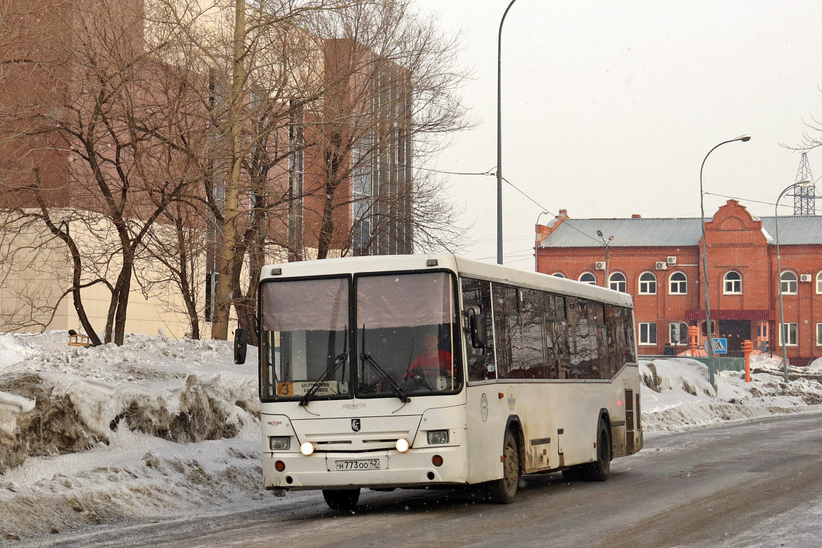 Kemerovo region - Kuzbass, NefAZ-5299-10-15 Nr. 53