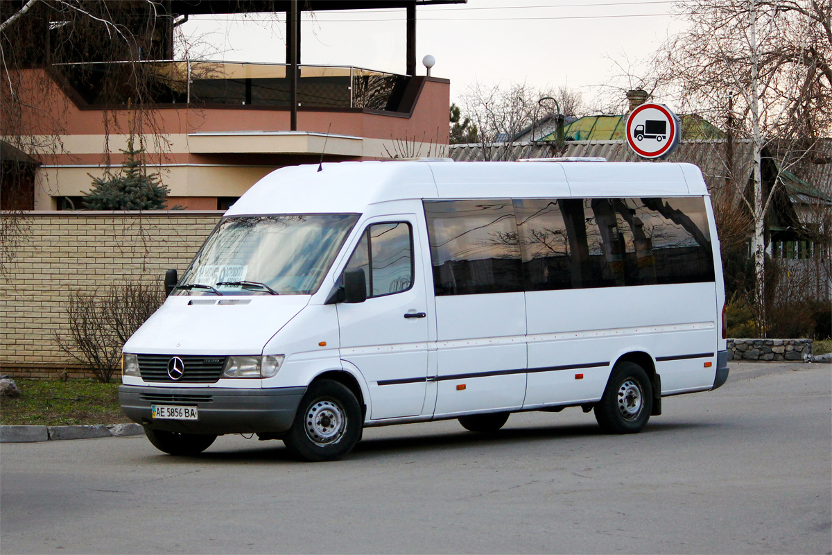 Днепропетровская область, Mercedes-Benz Sprinter W903 312D № AE 5856 BA