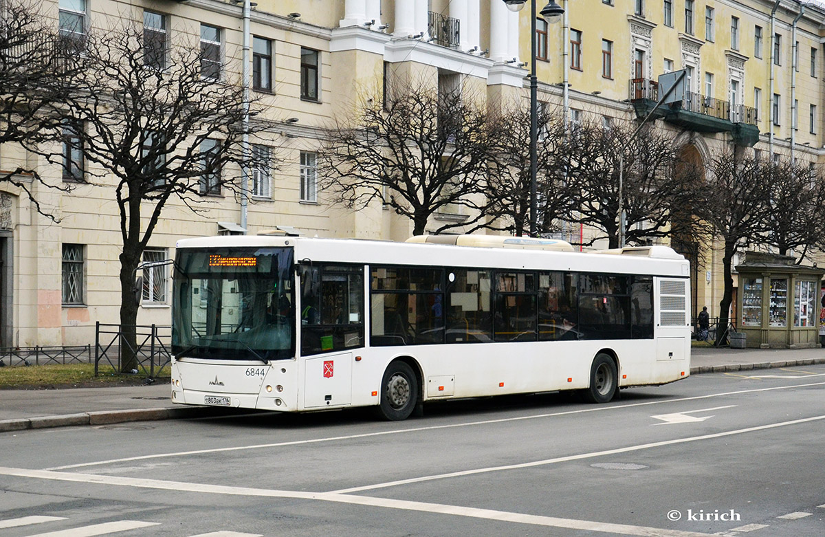 Санкт-Петербург, МАЗ-203.085 № 6844