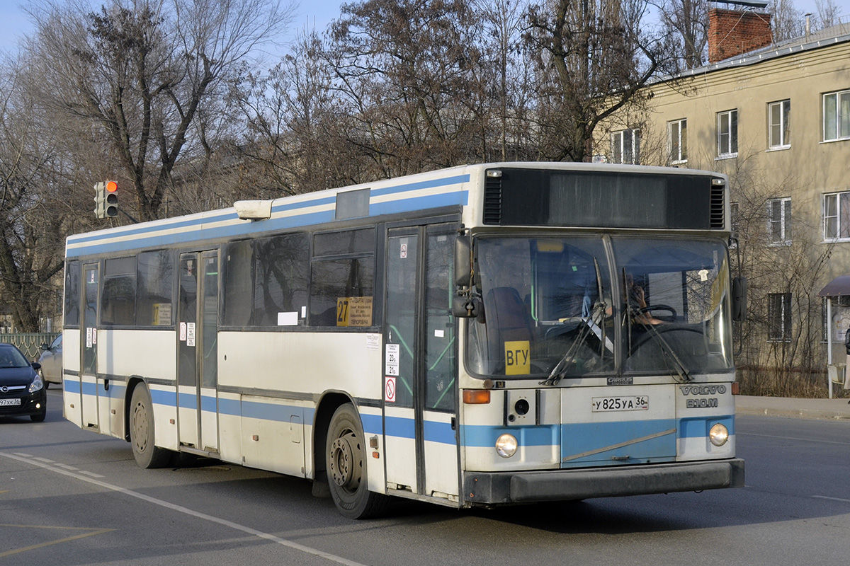 Воронежская область, Carrus K204 City № У 825 УА 36