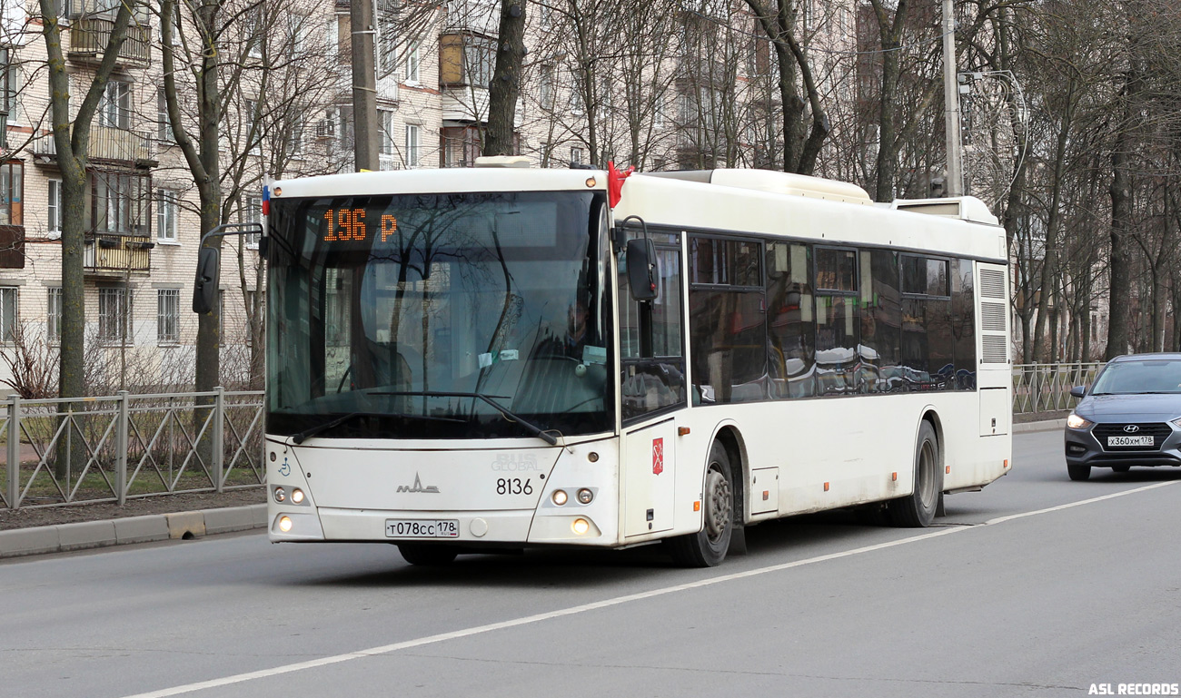 Санкт-Петербург, МАЗ-203.085 № 8136