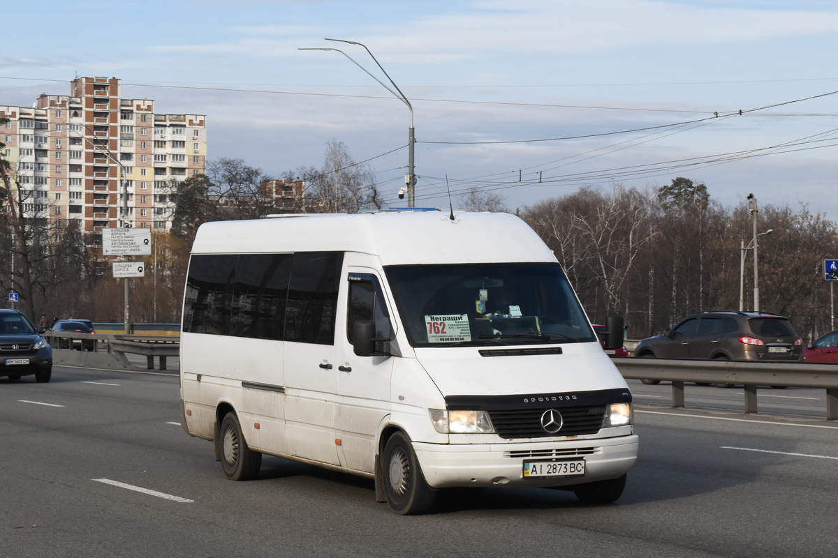 Kyiv region, Mercedes-Benz Sprinter W903 312D # AI 2873 BC