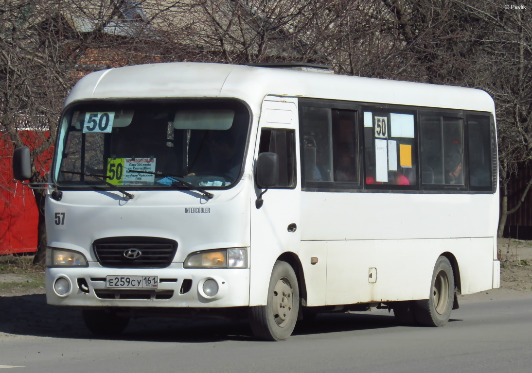 Ростовская область, Hyundai County LWB C09 (ТагАЗ) № 57