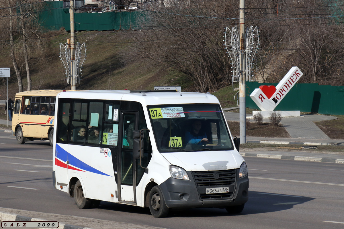 Воронежская область, ГАЗ-A64R42 Next № Р 366 АВ 136