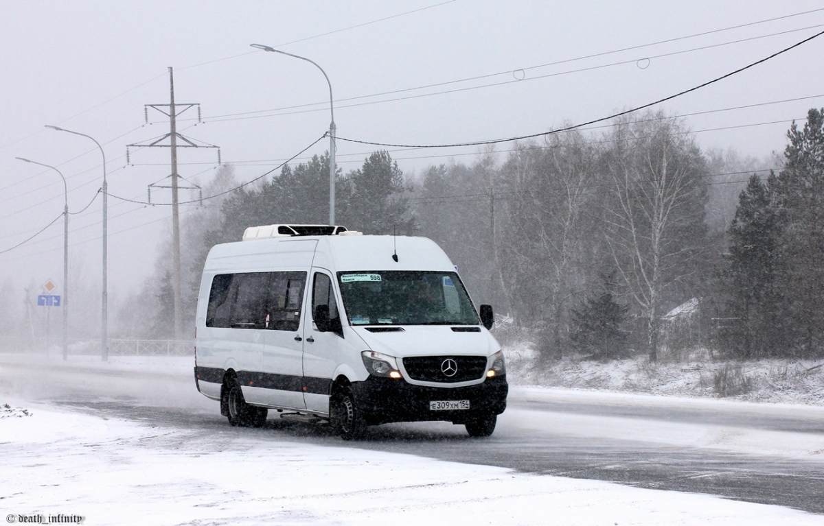 Новосибирская область, Луидор-223602 (MB Sprinter) № Е 309 ХМ 154