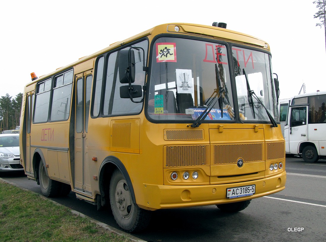 Минская область, ПАЗ-3205* (двери 2-2) № АС 3185-5