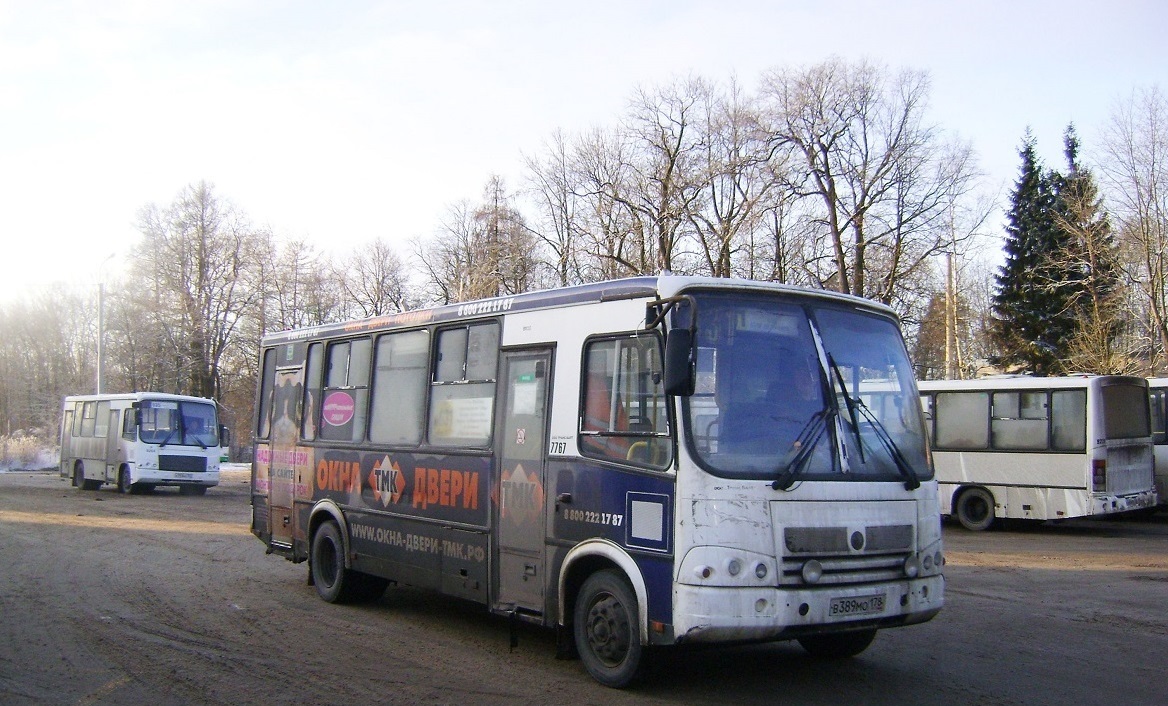 Ленинградская область, ПАЗ-320412-05 № 7767