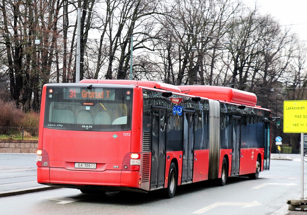 Норвегия, MAN A40 Lion's City GL NG313 CNG № 1313