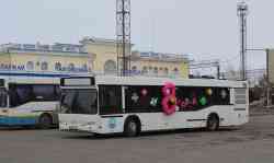 252 КБ